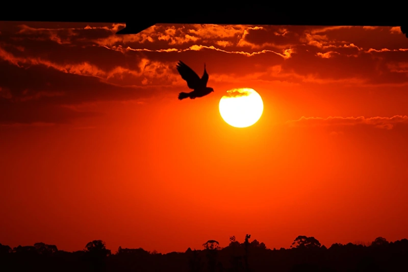 Chance de El Niño entre abril e junho sobe para 84%, diz instituto