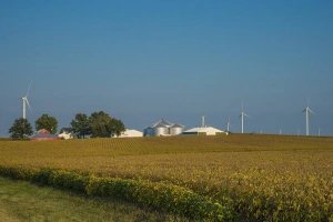 Produtor dos EUA deve plantar mais soja na safra 2026/27, diz USDA