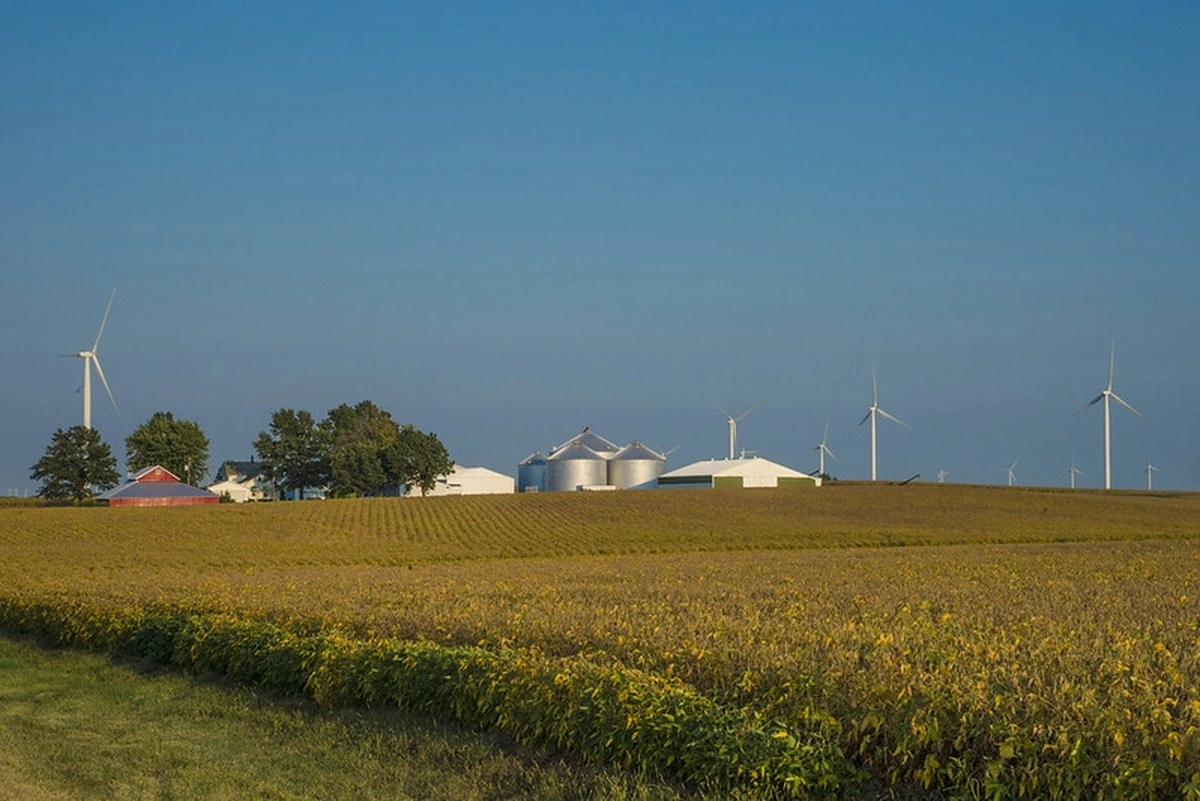 Produtor dos EUA deve plantar mais soja na safra 2026/27, diz USDA
