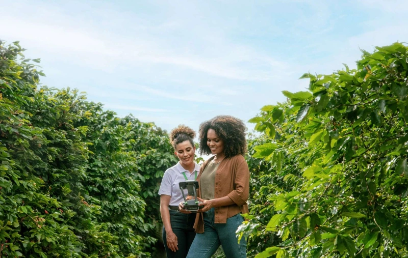 Sicredi reforça liderança no crédito rural do Paraná, com 23,4% do volume liberado