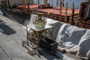 Disponibilidade de fertilizante deve cair a nível recorde este ano, diz estudo