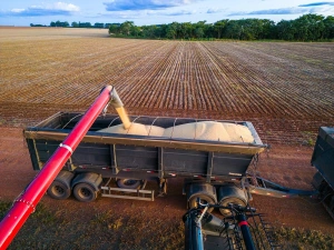 IBGE aumenta previsão para a safra de grãos de 2026