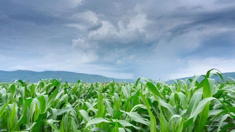 Fortalecimento do El Niño pode favorecer chuvas no Sul do Brasil