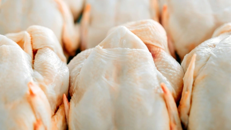 Competitividade do frango em relação à carne bovina é a maior desde 2022