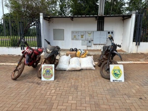 Ação integrada apreende agrotóxicos, cigarros e anabolizantes na zona rural de Guaíra