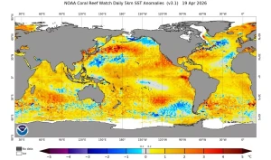 Parte do Pacífico já registra anomalia de El Niño, mas fenômeno ainda não está oficialmente declarado