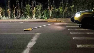 Em surto, homem arranca placa de sinalização e é detido em São Pedro do Iguaçu