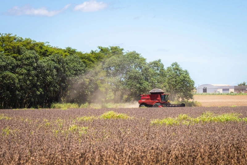 Governo federal propõe renegociar R$ 82 bilhões em dívidas de produtores