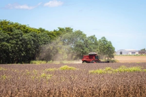 Governo federal propõe renegociar R$ 82 bilhões em dívidas de produtores