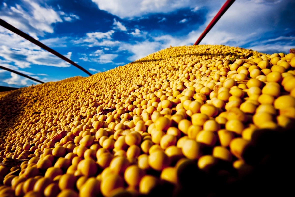 PIB do agronegócio brasileiro cresceu 12,20% em 2025