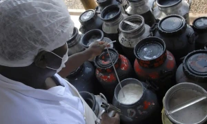 Governo anuncia quase R$ 1 bi em investimentos para produção de leite e reforma agrária