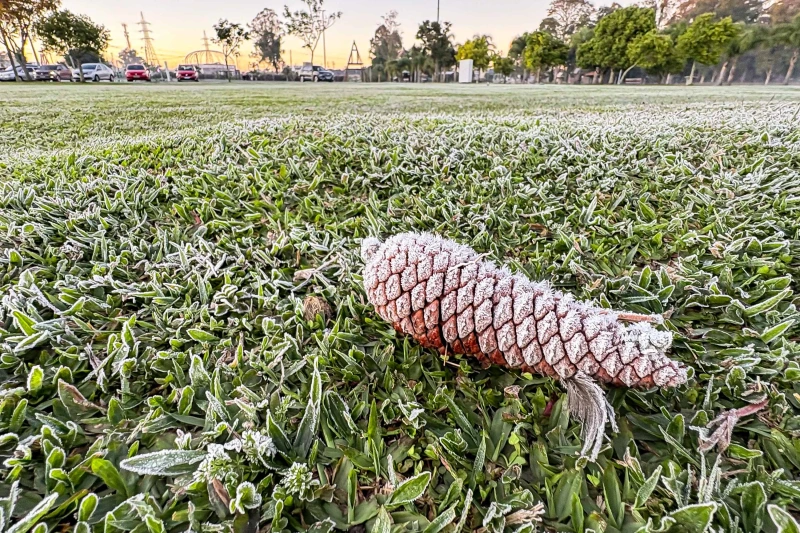 Sinais de inverno: maio terá frentes frias e geada no Paraná, prevê Simepar
