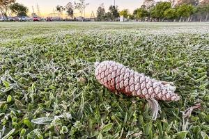 Sinais de inverno: maio terá frentes frias e geada no Paraná, prevê Simepar