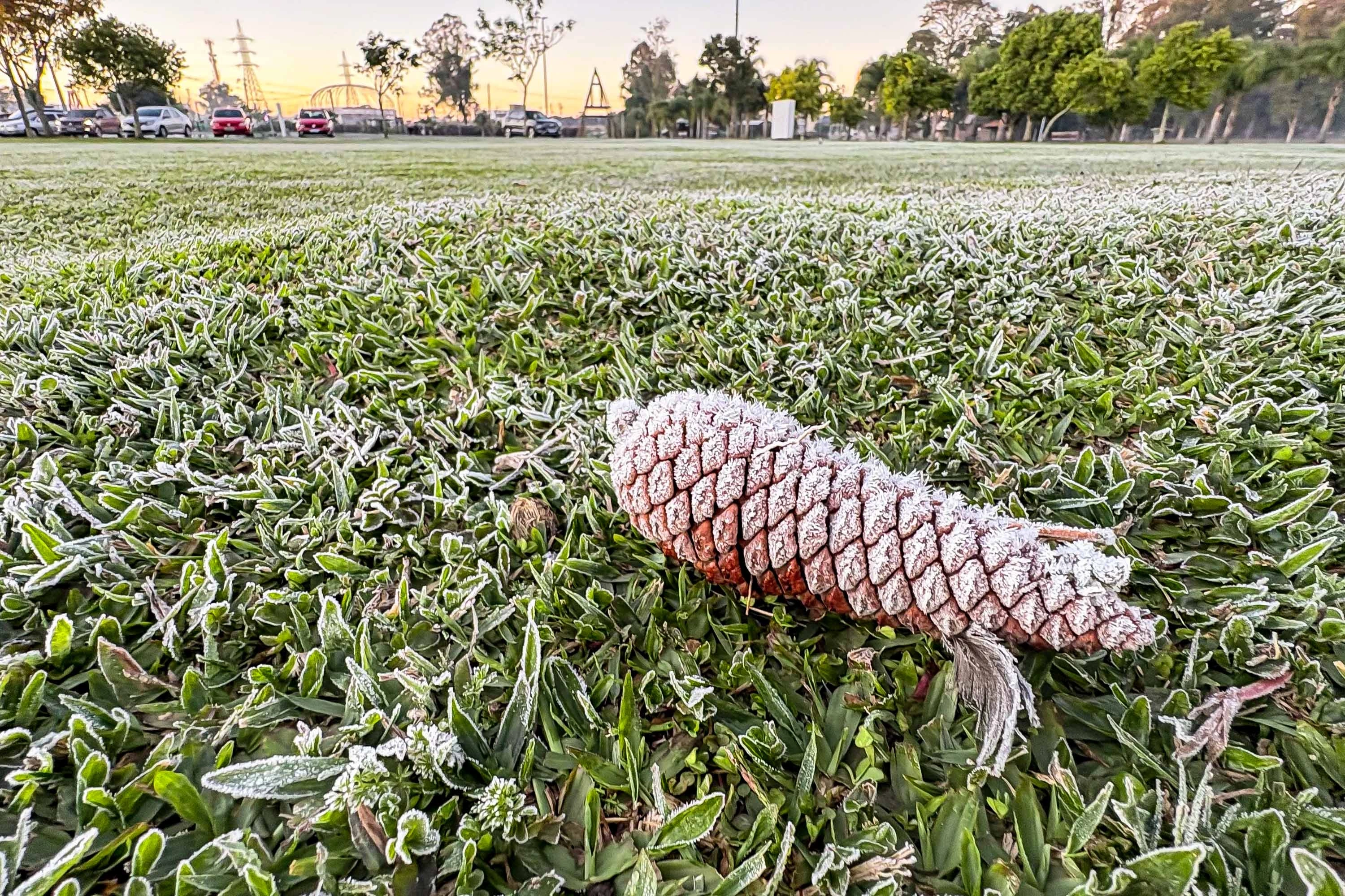 Sinais de inverno: maio terá frentes frias e geada no Paraná, prevê Simepar