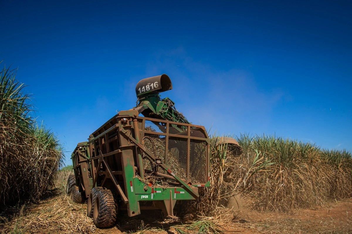 Safra de cana deve crescer 5,3% em 2026/27, para 709 milhões de toneladas