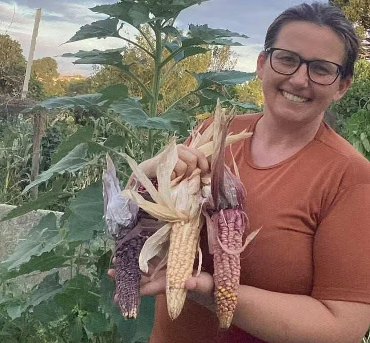 Guardiões de sementes preservam cultura alimentar em pequenas propriedades