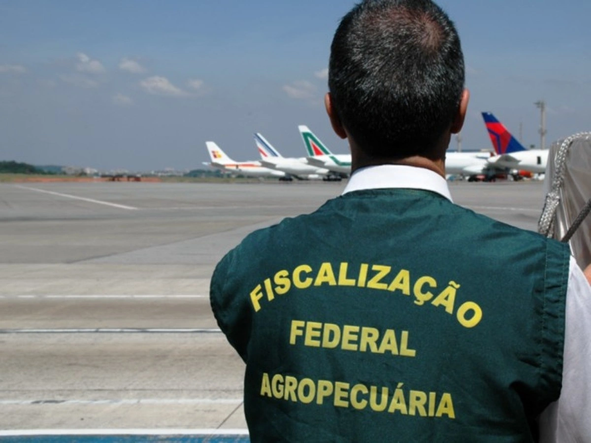 Produtores do Ceará relatam 'abuso' em fiscalização, e sindicato defende servidora