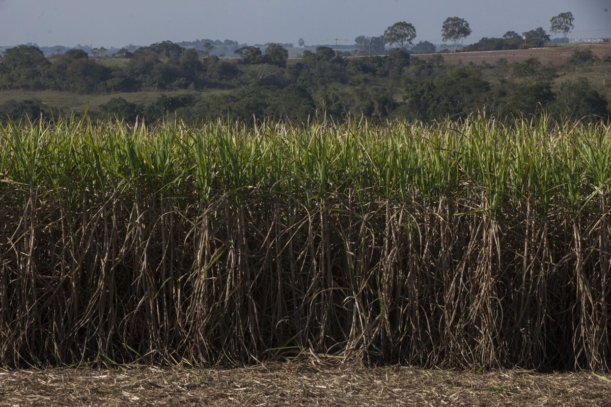 BNDES aprova crédito de R$ 84 milhões para três projetos do CTC