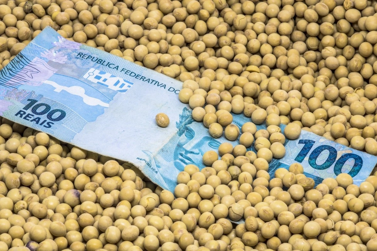Recuperações judiciais no agro cresceram quase 60% em um ano
