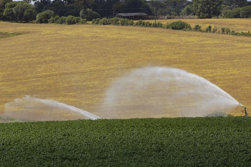 ICMS zero: Paraná prorroga isenção para produtos agropecuários até 2026