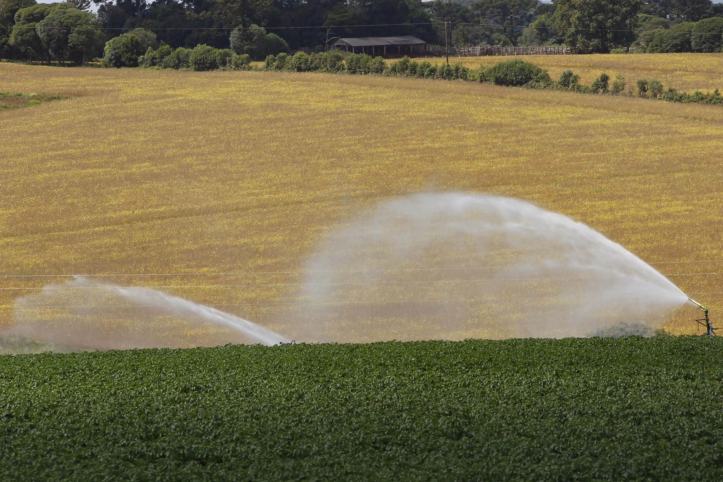 ICMS zero: Paraná prorroga isenção para produtos agropecuários até 2026