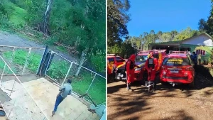 Idoso é encontrado morto após sair para colher pinhão e desaparecer no interior do Paraná