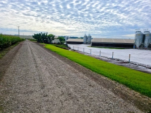 Secretaria de Agricultura realiza reposição de solo brita em cerca de 20 quilômetros de estradas rurais