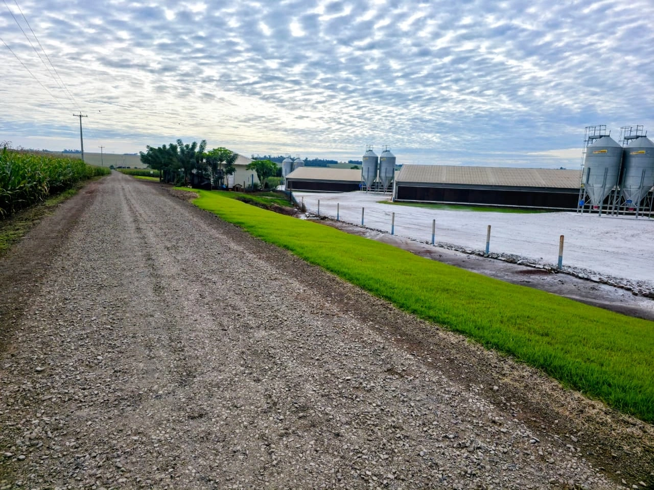 Secretaria de Agricultura realiza reposição de solo brita em cerca de 20 quilômetros de estradas rurais