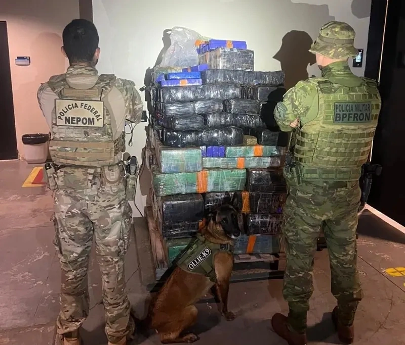 Mais de 930 quilos de maconha e ecstasy são apreendidos em Santa Helena