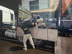Carreta estraga, polícia vai ajudar e acaba encontrando mais de 2 toneladas de maconha no veículo na BR-277, no Paraná