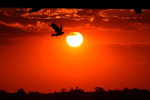 Primeira semana de junho terá tempo firme e céu limpo em Nova Santa Rosa