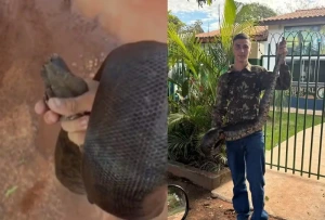 Jovem resgata jiboia de 2 metros em escola e sai carregando serpente por rua em MS