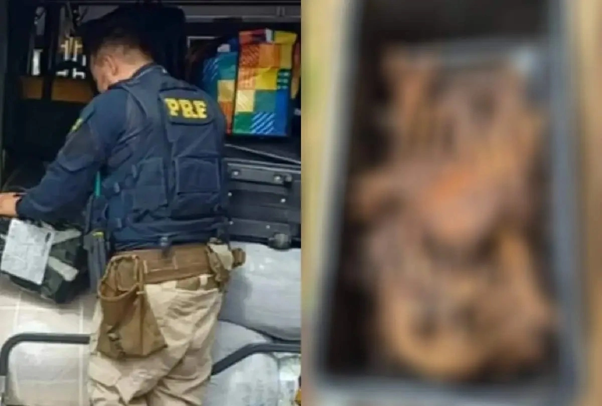 Ossada humana e cinzas são encontradas em ônibus de viagem no DF