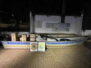 Operação integrada apreende cigarros, agrotóxicos contrabandeados e prende homem procurado em Guaíra