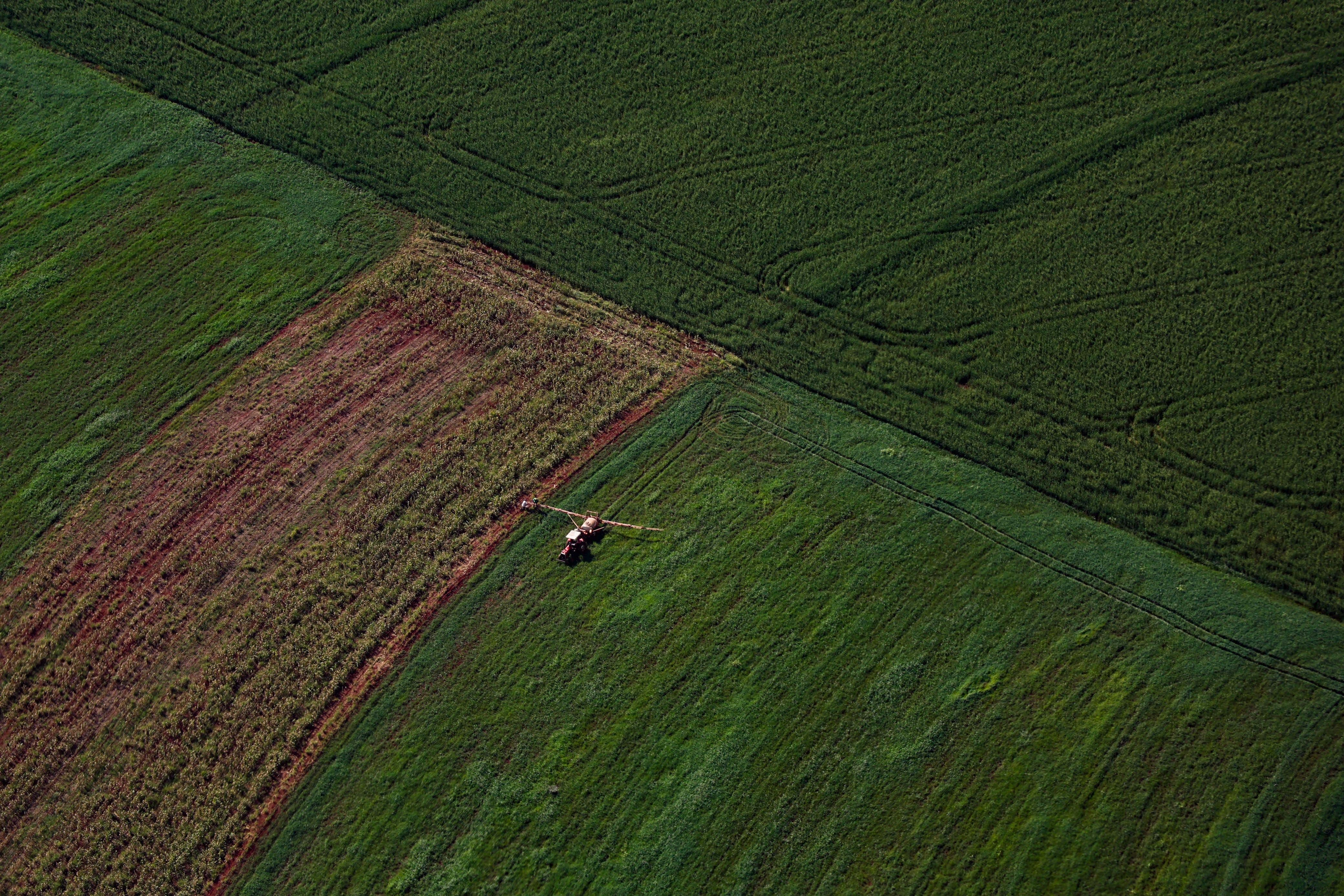 VBP Agropecuário do Paraná cresce 13% e alcança R$ 212,6 bilhões em 2025