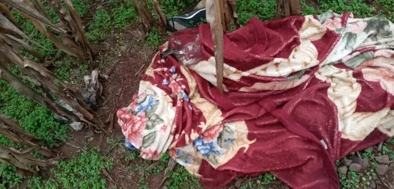 Polícia Civil investiga localização de feto em estrada rural de Toledo