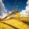 Demanda por derivados de soja nos EUA sustenta futuros