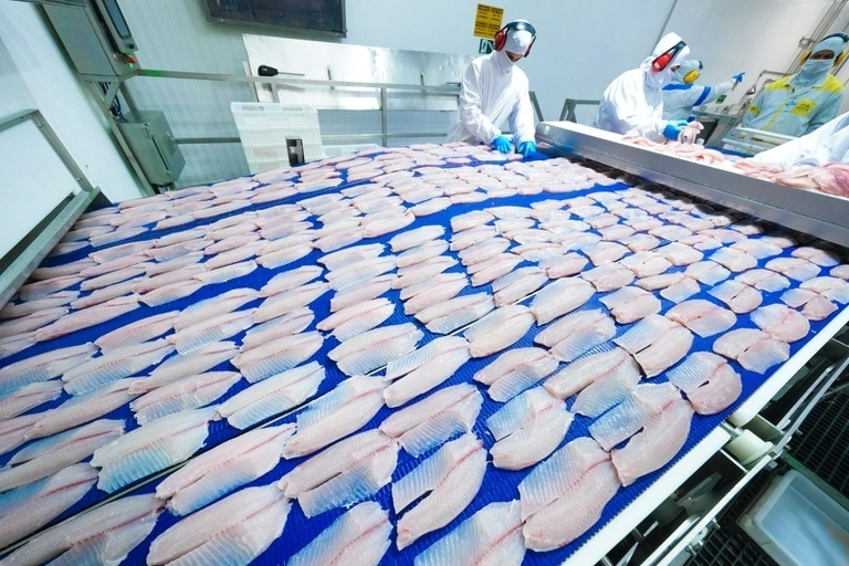 Preço da tilápia varia R$ 1,67 por quilo entre as principais regiões produtoras