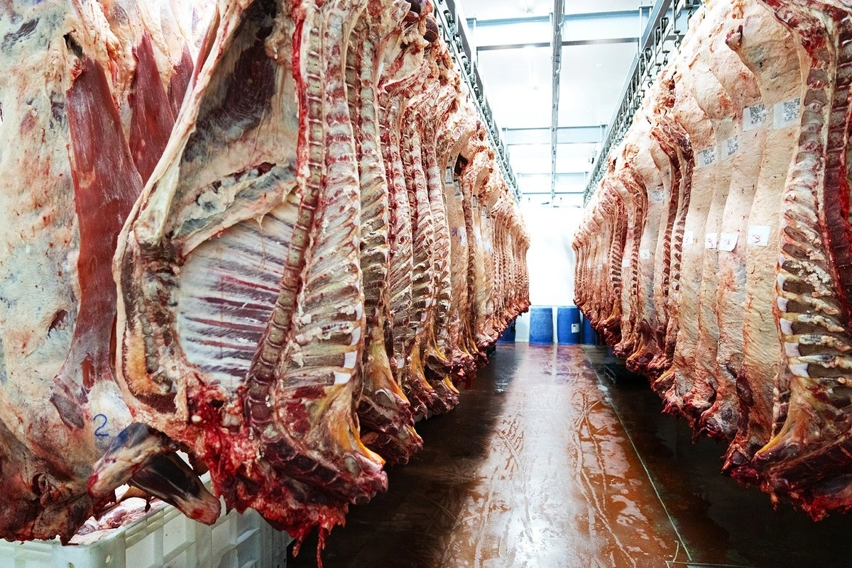 Exportação de carne bovina cresceu 15,5% no primeiro semestre