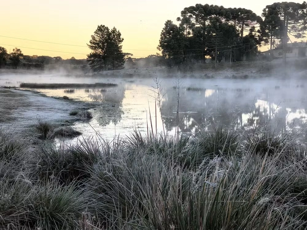 Paraná amanhece com geadas e temperaturas negativas de até -2,3ºC