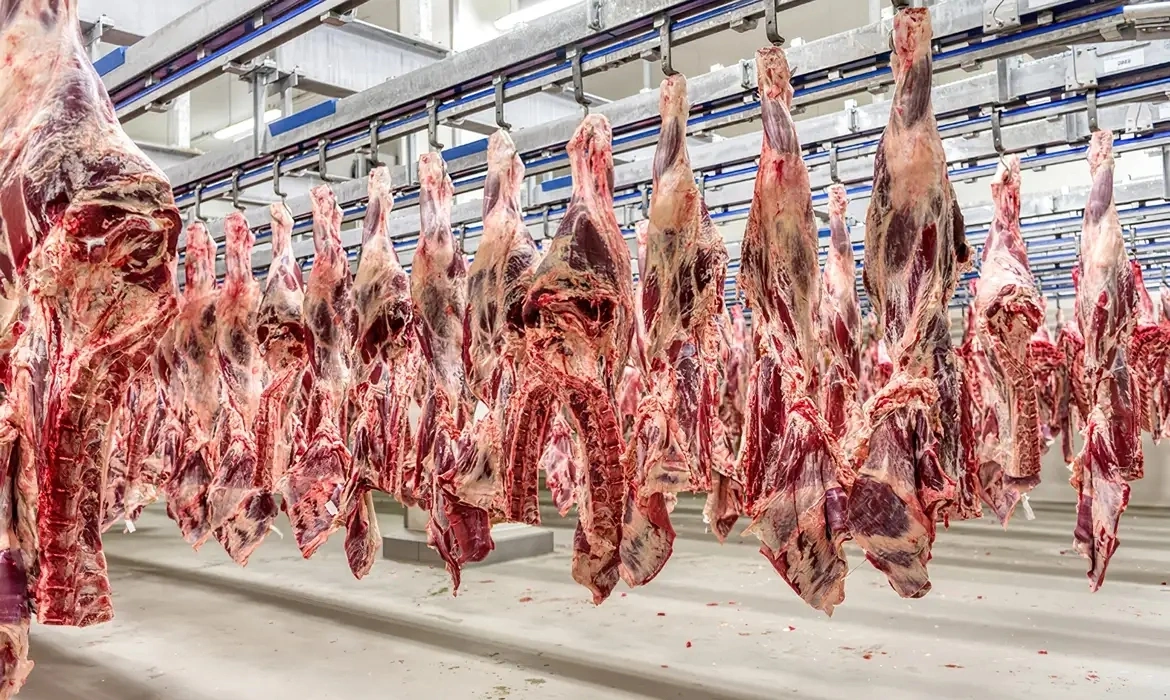 Embarques de carne bovina no 1º semestre têm melhor desempenho da história