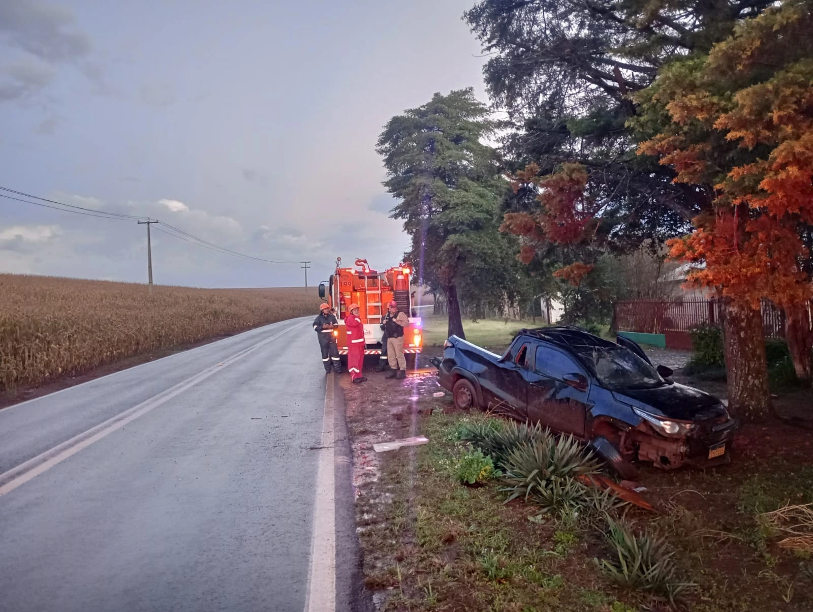 Motorista fica ferido após Fiat Strada bater contra árvore na PR-573, em Corbélia