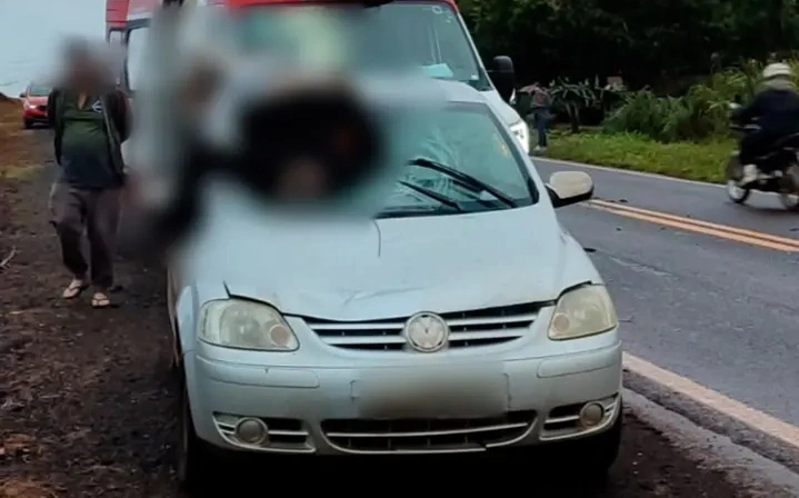 Pedestre morre atropelado na PR-495, em Missal