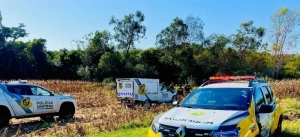 Corpo de homem é encontrado em plantação de milho durante colheita em Foz do Iguaçu