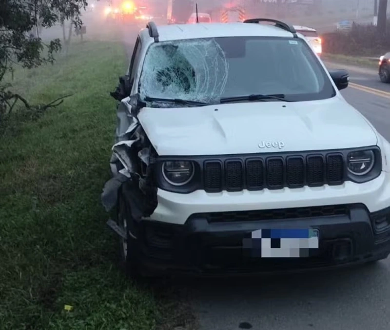 Irmãos de 7 e 14 anos morrem atropelados enquanto tentavam atravessar a BR-470, em SC