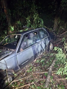 Motorista fica ferido após sair da pista e bater contra árvores na PR-364