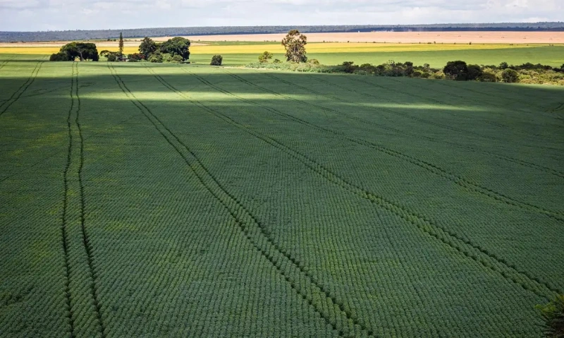 Senado aprova plano para fabricação de fertilizantes no Brasil