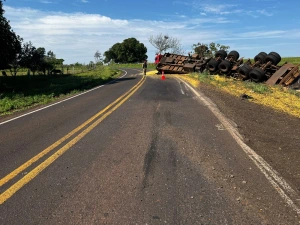 Caminhão sai da pista e atinge árvores, cerca e poste na PR-496, em Terra Roxa