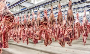 Exportações de carne bovina diminuem, mas preço elevado limita queda na receita