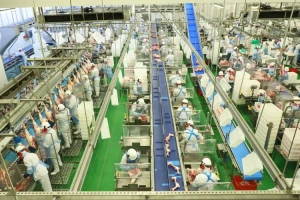 Embarques de carne suína recuam com redução de compras de países asiáticos